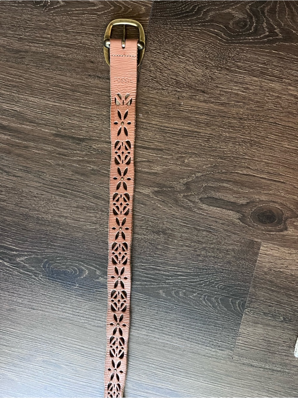 Fossil Belt